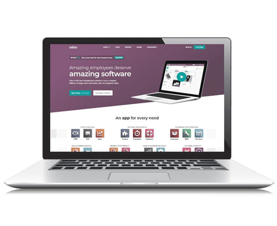 Odoo Development